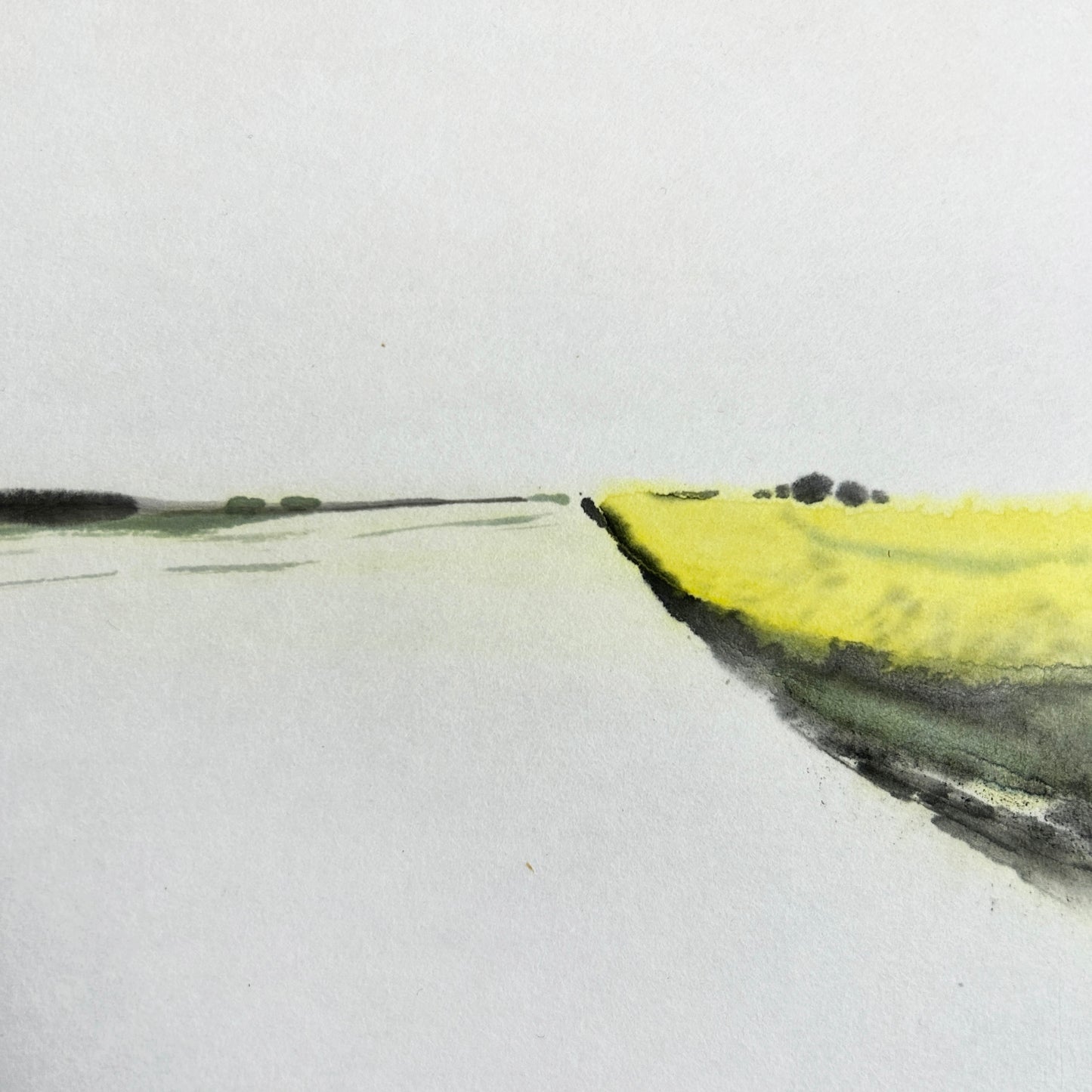 Jaune printanier 01 - Peinture Lavis