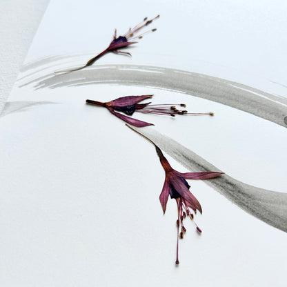 Diptych Fuchsia 002 - Herbarium and Ink wash