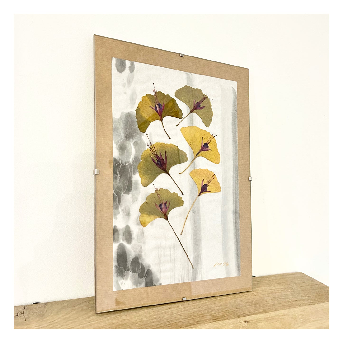 Trio valse Gingko biloba and fuchsia - Herbarium and Ink wash