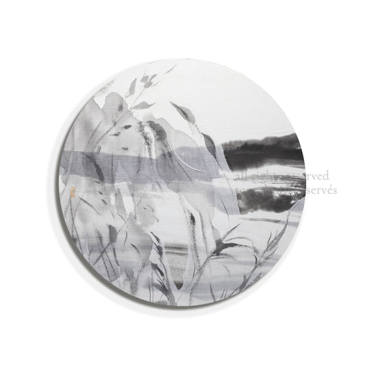 Paysage végétal 03