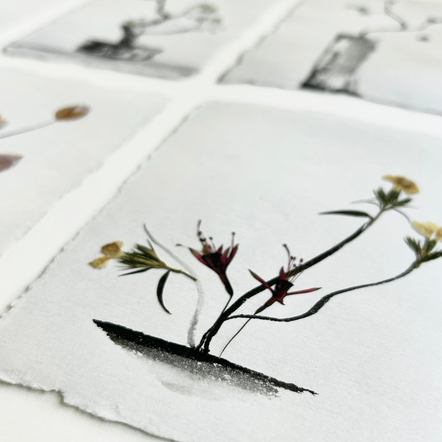 Print - The Ikebana Garden 001 - Herbarium and Ink wash