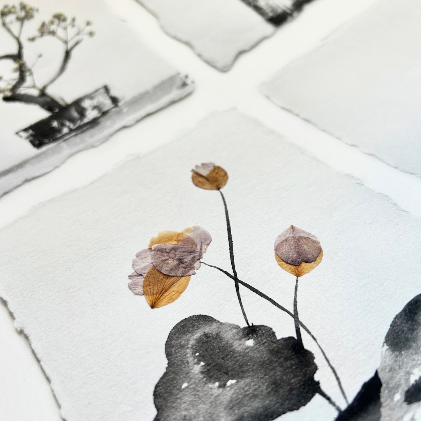 Print - The Ikebana Garden 001 - Herbarium and Ink wash