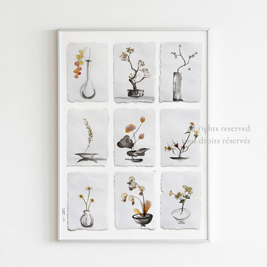 Print - The Ikebana Garden 001 - Herbarium and Ink wash