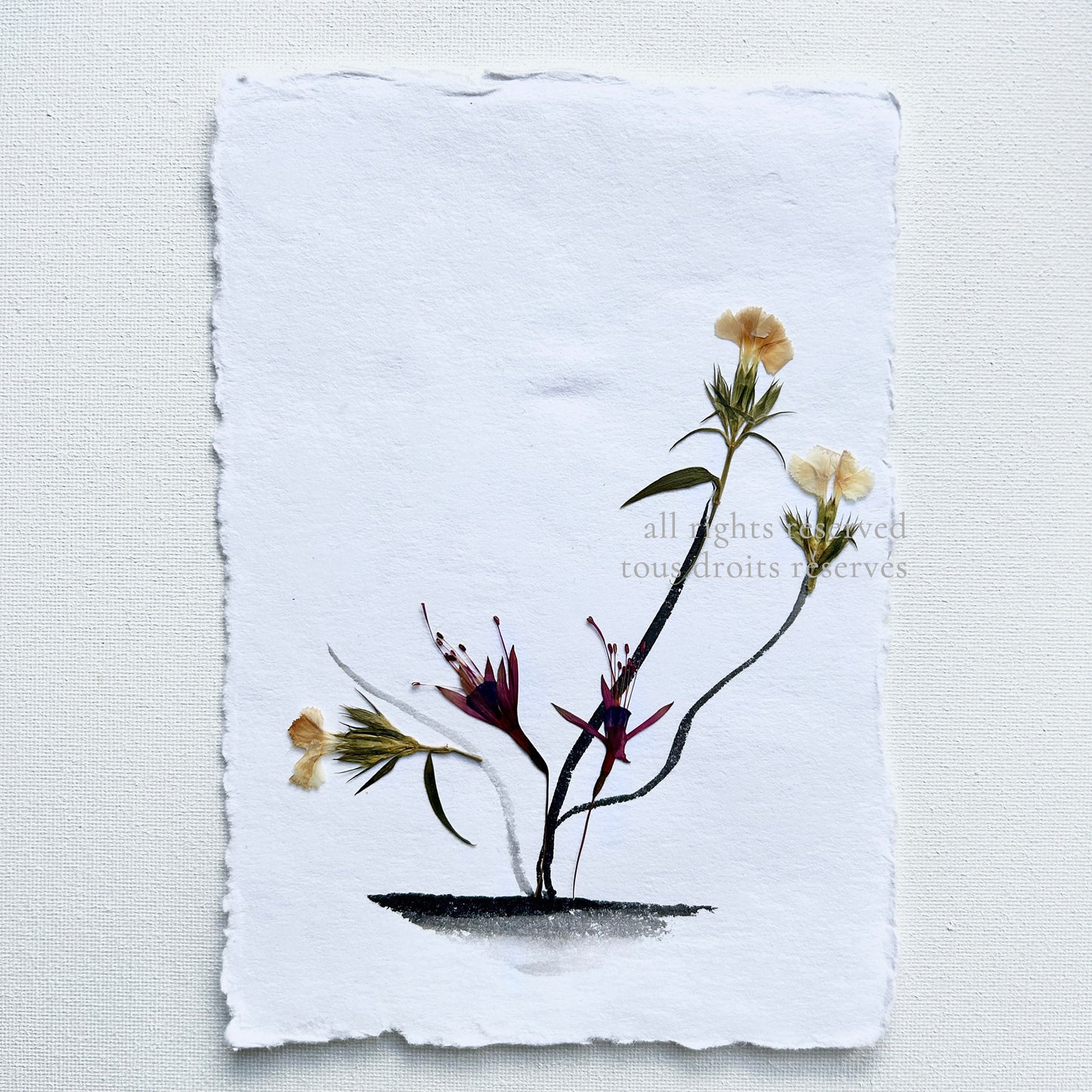 The Ikebana Garden 001 - Herbarium and Ink wash