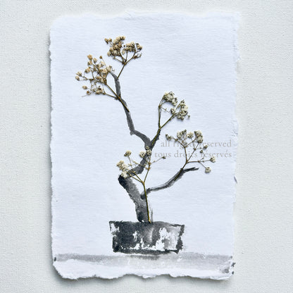 The Ikebana Garden 001 - Herbarium and Ink wash