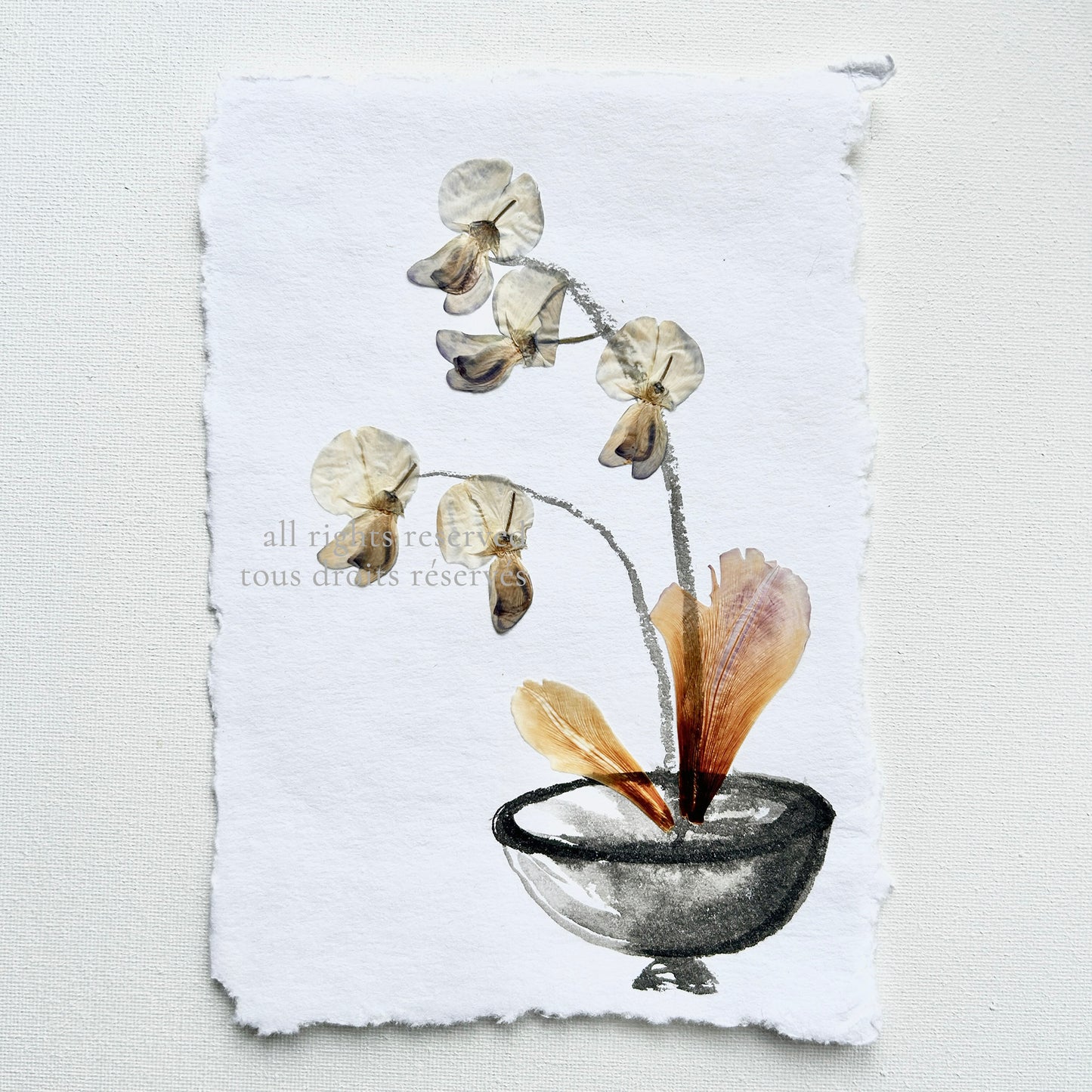 The Ikebana Garden 001 - Herbarium and Ink wash