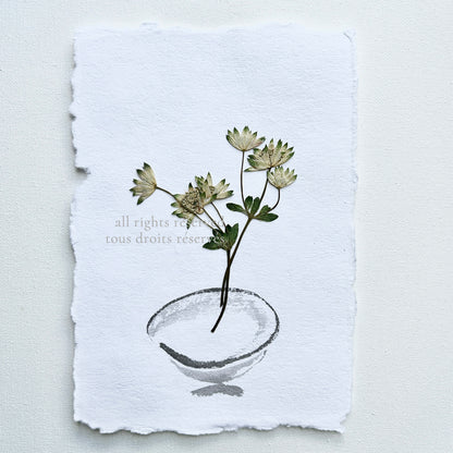 The Ikebana Garden 001 - Herbarium and Ink wash