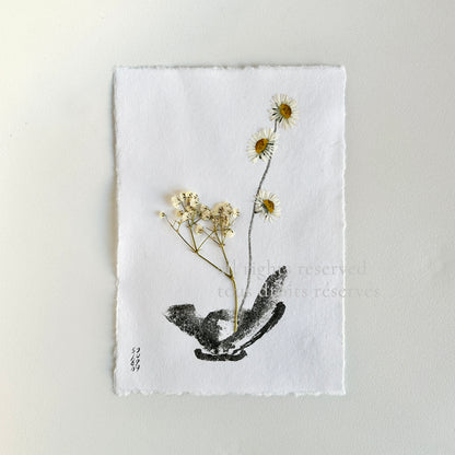 Ikebana 011 - Herbarium and Ink wash