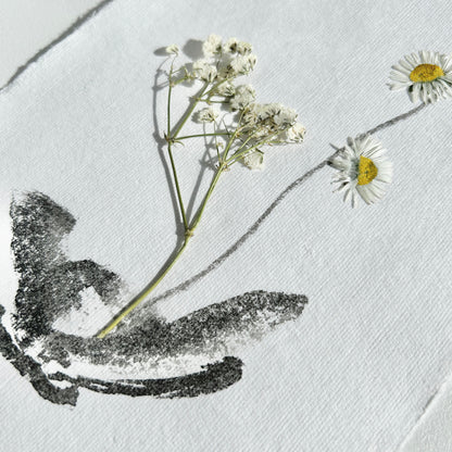 Ikebana 011 - Herbarium and Ink wash