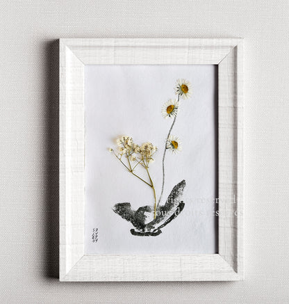 Ikebana 011 - Herbarium and Ink wash