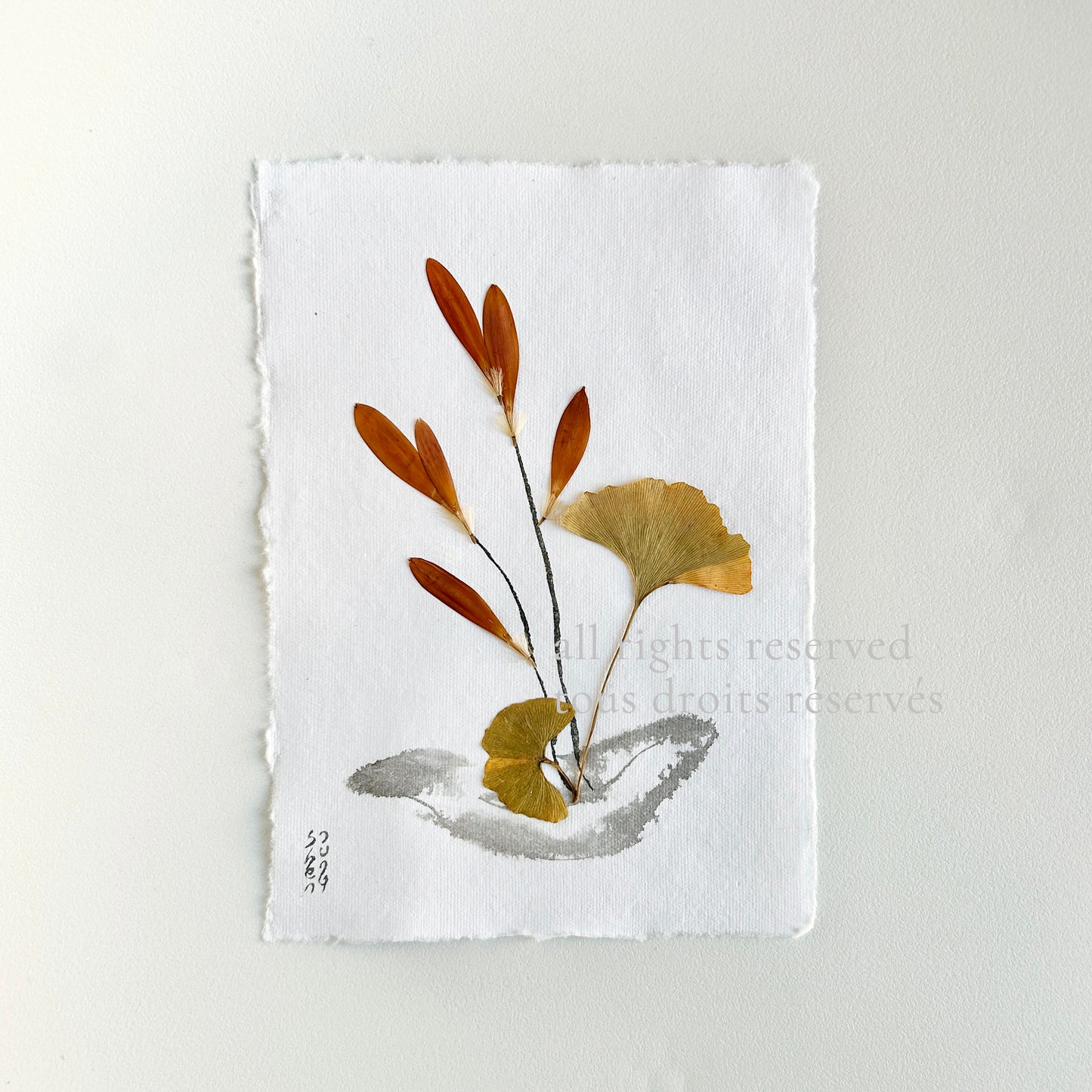 Ikebana 013 - Herbarium and Ink wash