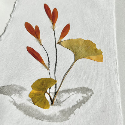 Ikebana 013 - Herbarium and Ink wash