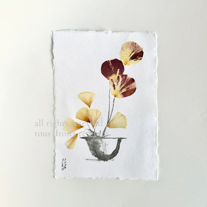 Ikebana 014 - Herbarium and Ink wash