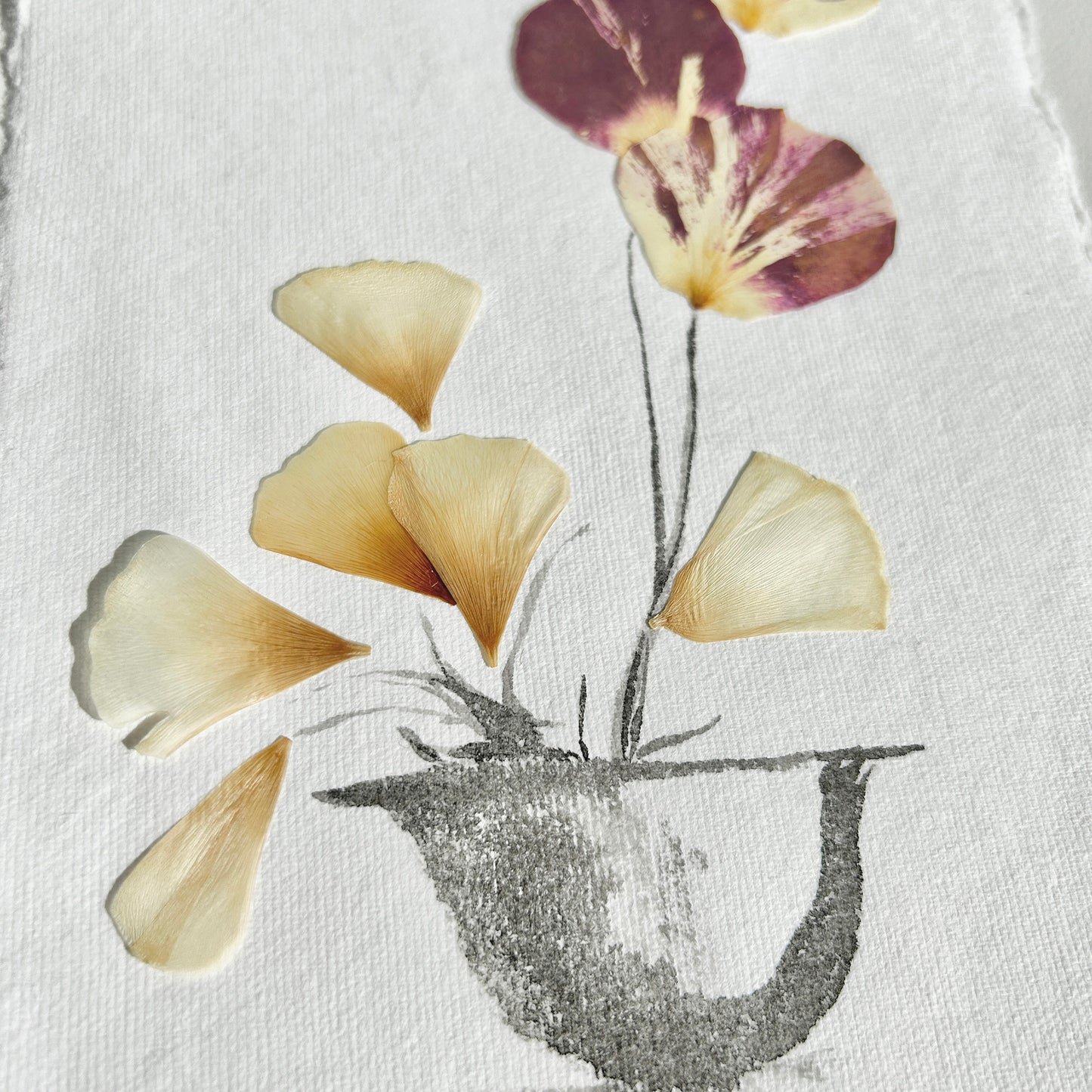 Ikebana 014 - Herbarium and Ink wash