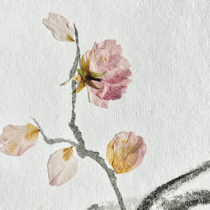 Ikebana 012 - Herbarium and Ink wash