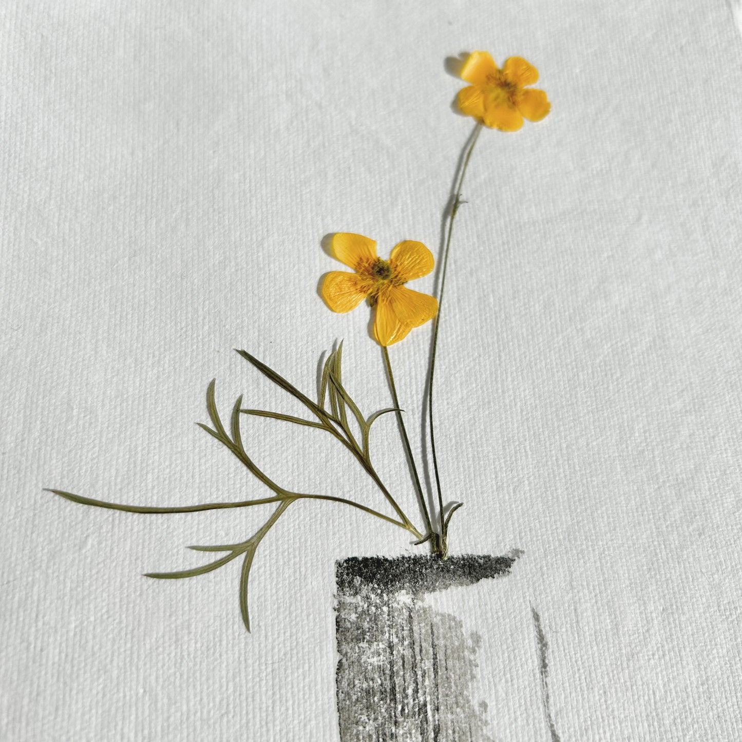 Ikebana 016 - Herbarium and Ink wash