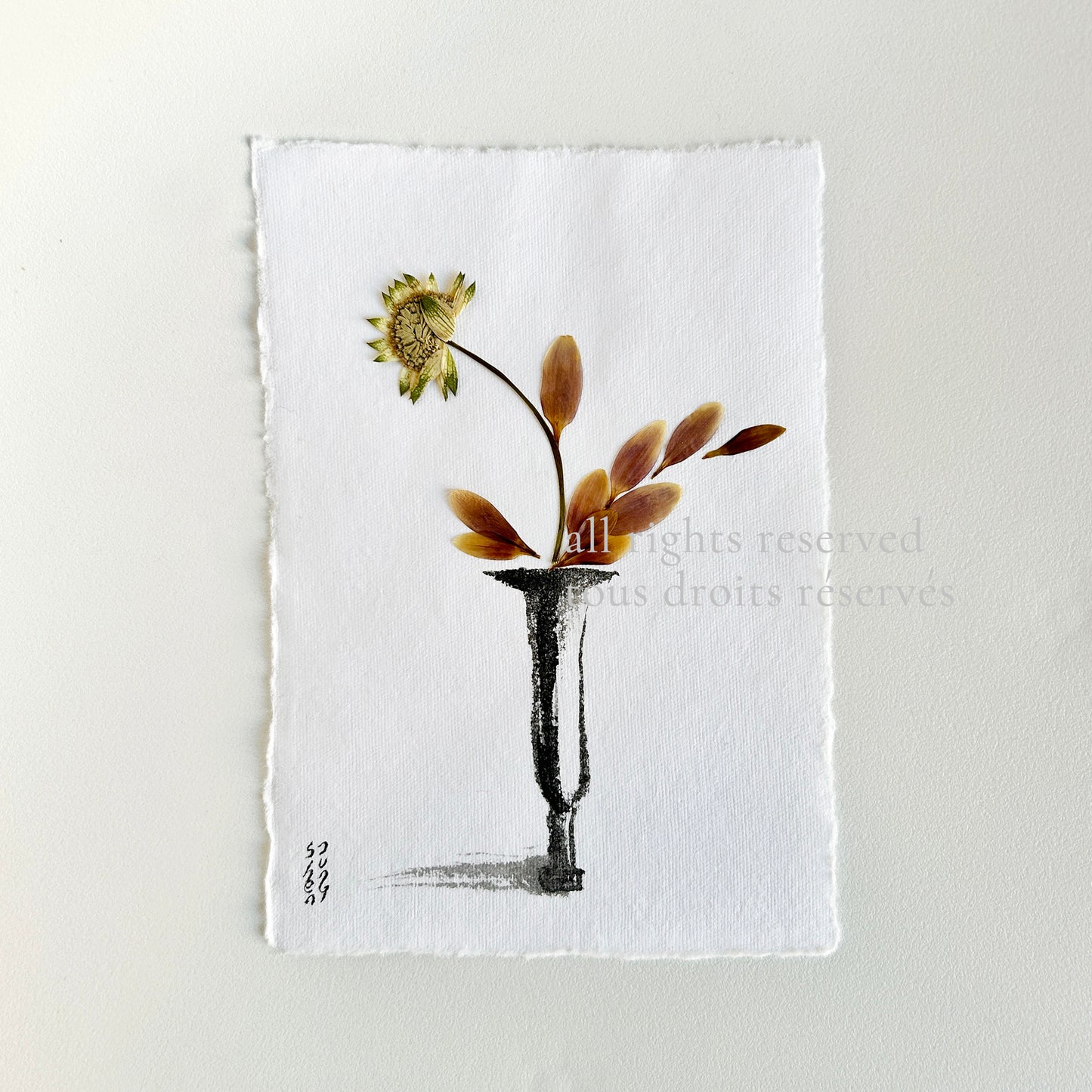 Ikebana 017 - Herbarium and Ink wash