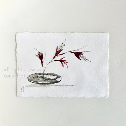 Ikebana 018 - Herbarium and Ink wash