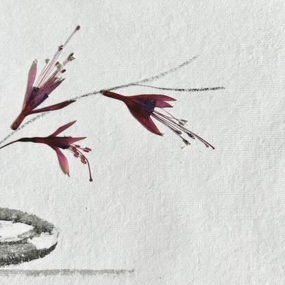 Ikebana 018 - Herbarium and Ink wash