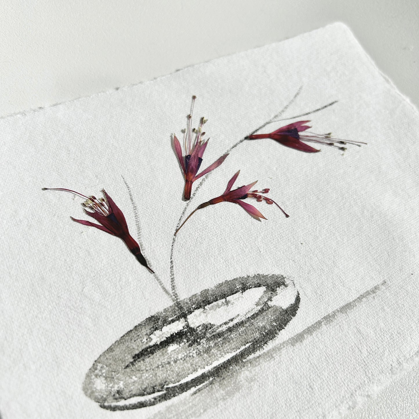 Ikebana 018 - Herbarium and Ink wash