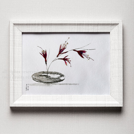 Ikebana 018 - Herbarium and Ink wash