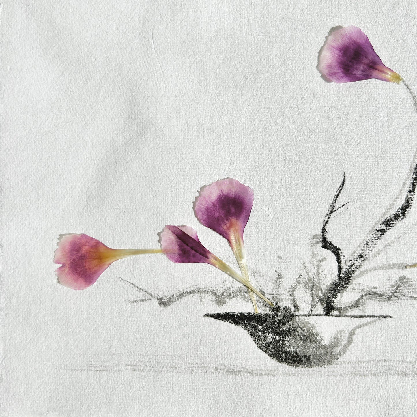 Ikebana 015 - Herbarium and Ink wash