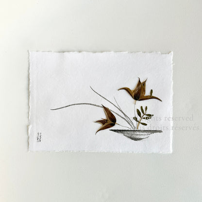 Ikebana 019 - Herbarium and Ink wash