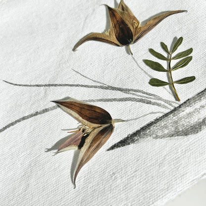 Ikebana 019 - Herbarium and Ink wash